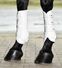 PARATENDINI DRESSAGE PRO (ANTERIORE/POSTERIORE)