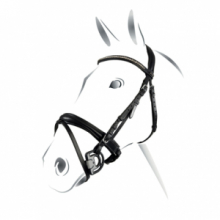 TESTIERA EQUESTRO MODELLO CRANK